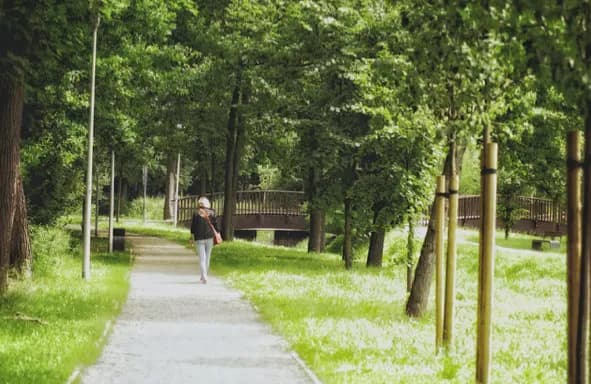 Miejsca warte odwiedzenia w Zielonej Górze. 7 propozycji