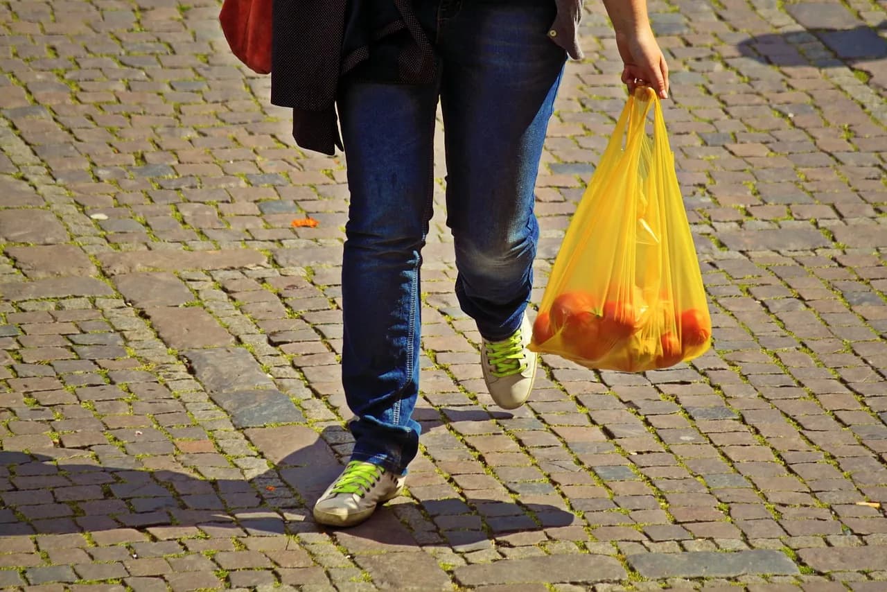 Wózek na zakupy - znaczne odciążenie dla Twojego kręgosłupa