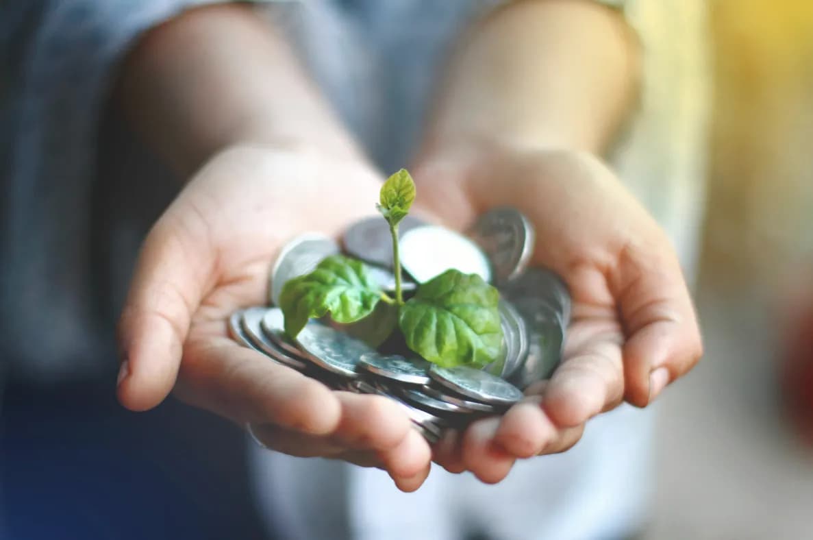 Inwestycje bez stresu: przyszłość pasywnego dochodu